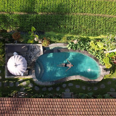 Umakelod Sebatu Villas Ουμπούντ Εξωτερικό φωτογραφία