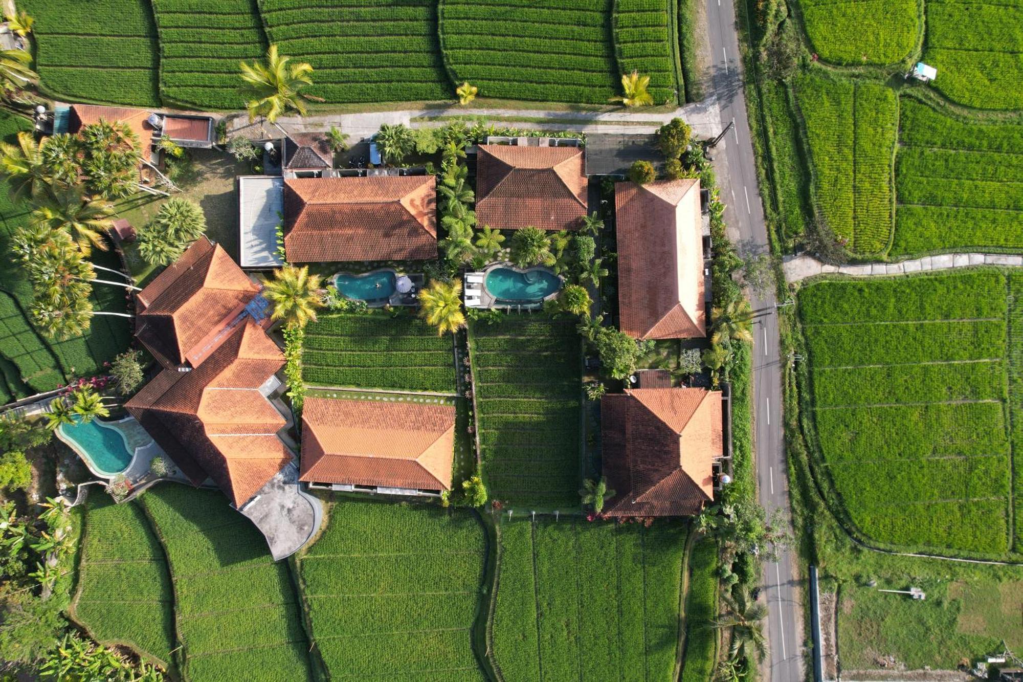 Umakelod Sebatu Villas Ουμπούντ Εξωτερικό φωτογραφία
